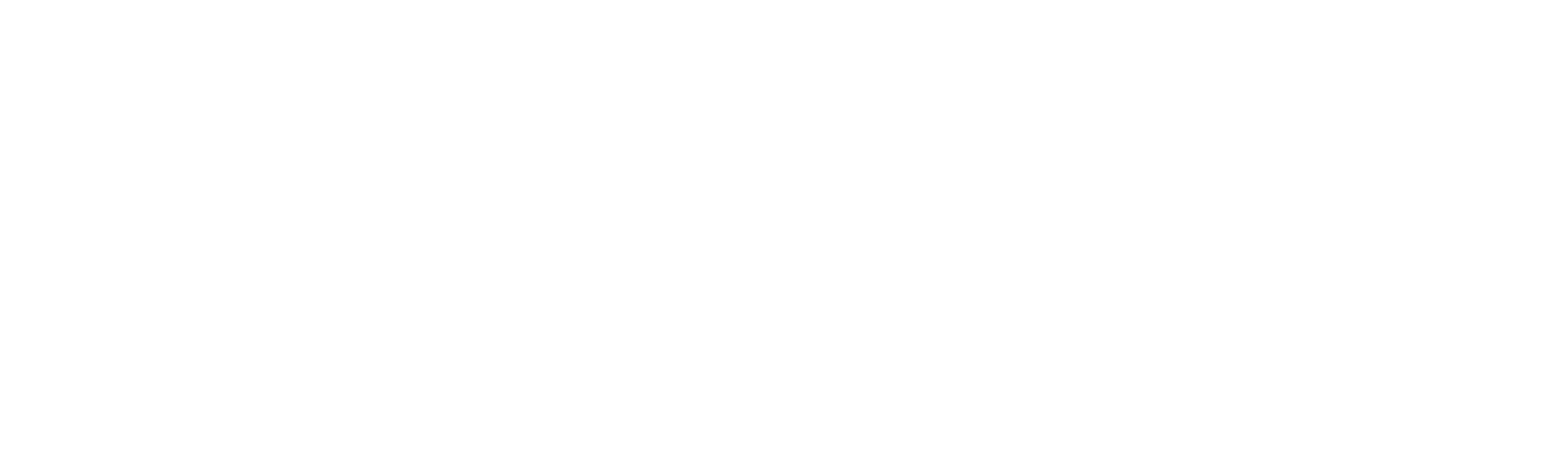 actual-brand-holbein